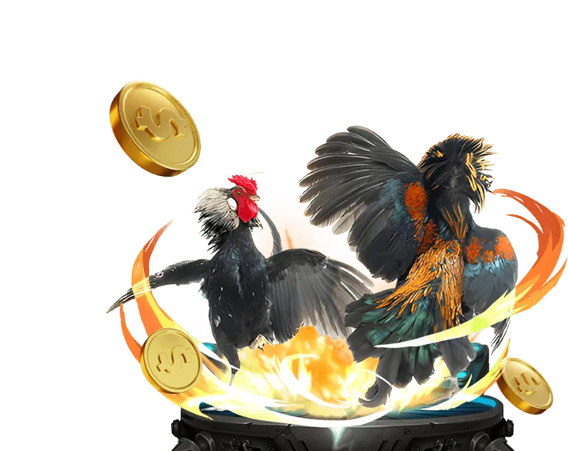 Chứng nhận và giấy phép pháp lý cho nền tảng game nohu